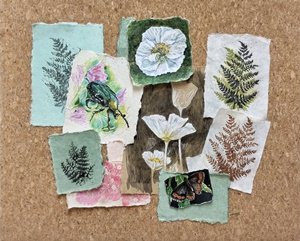 Allotment Diaries-Felt-tip pen and hand carved stamps on paper, 38x46,5 - 2023-24